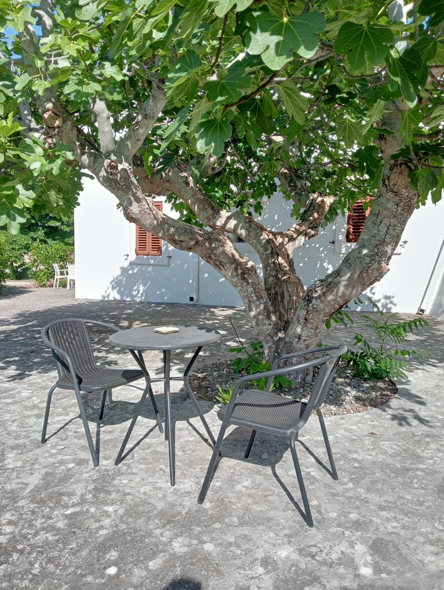 B&B Villa Rosanna Fasano Eksteriør bilde